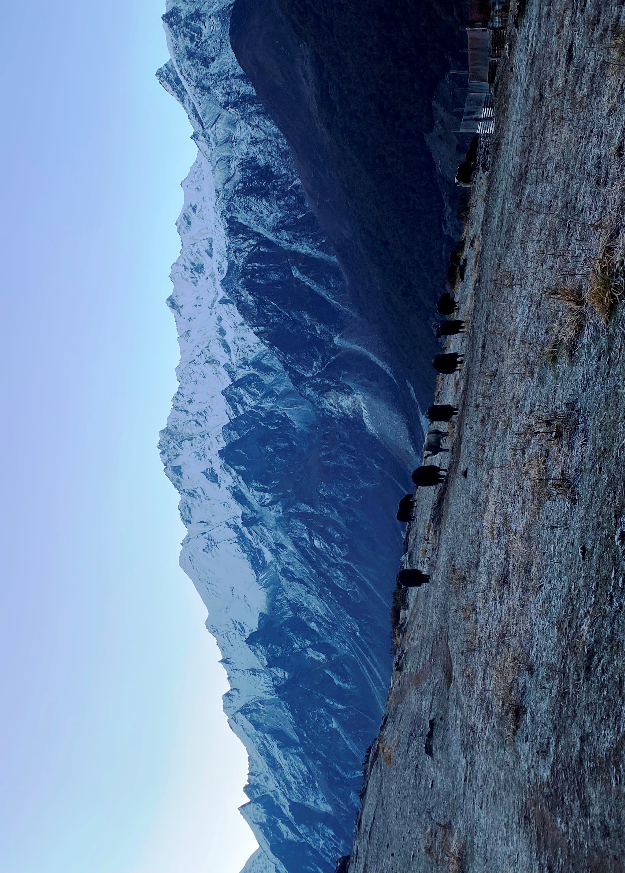 langtang (5).jpg